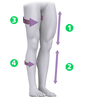 T3-L5 spine diagram